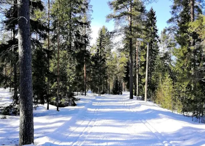 Kauniisti Sisustettu Ja Viihtyisae Kolmio Sekae Ilmainen Parkkipaikka Appartement *